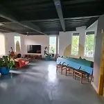 Canto Dos Passaros